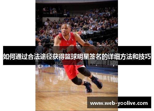 如何通过合法途径获得篮球明星签名的详细方法和技巧