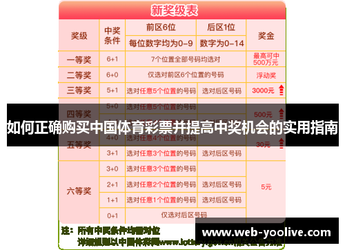 如何正确购买中国体育彩票并提高中奖机会的实用指南