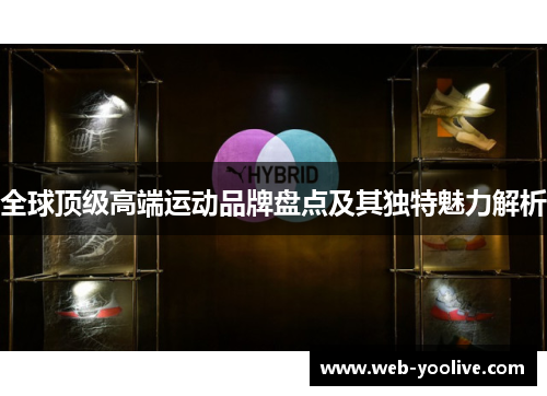 全球顶级高端运动品牌盘点及其独特魅力解析